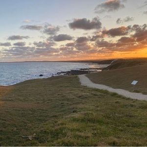 Meet your Posher, Cassie